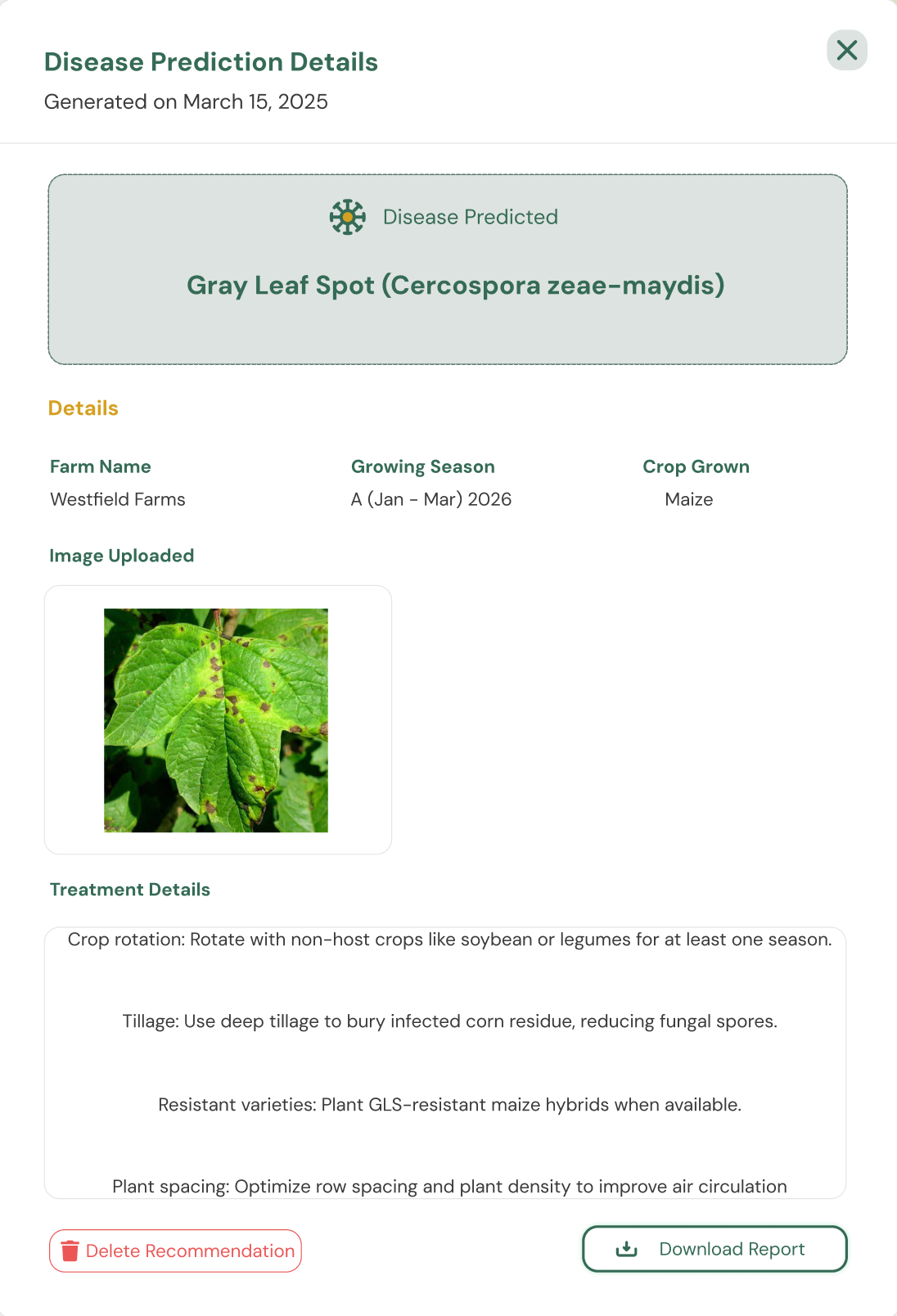 Inyandiko y'isuzuma ry'indwara igaragaza Gray Leaf Spot, amakuru y'umurima, ifoto yoherejwe n'intambwe z'umuti